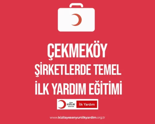 Çekmeköy Şirketlerde İlk Yardım Eğitimi