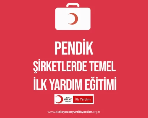 Pendik Şirketlerde İlk Yardım Eğitimi