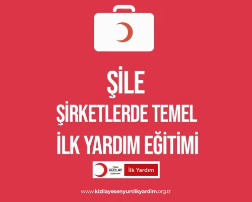 Şile Şirketlerde İlk Yardım Eğitimi