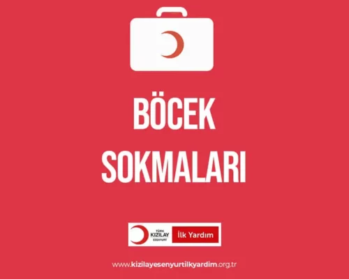 Böcek Sokmaları