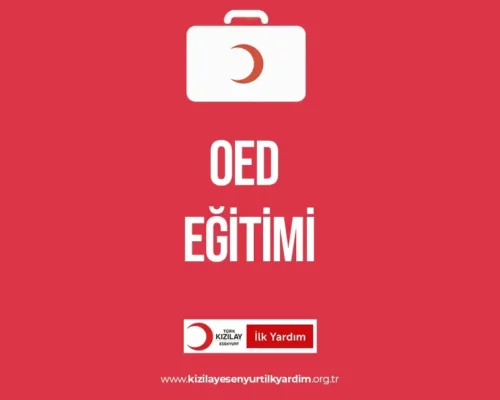 OED Eğitimi